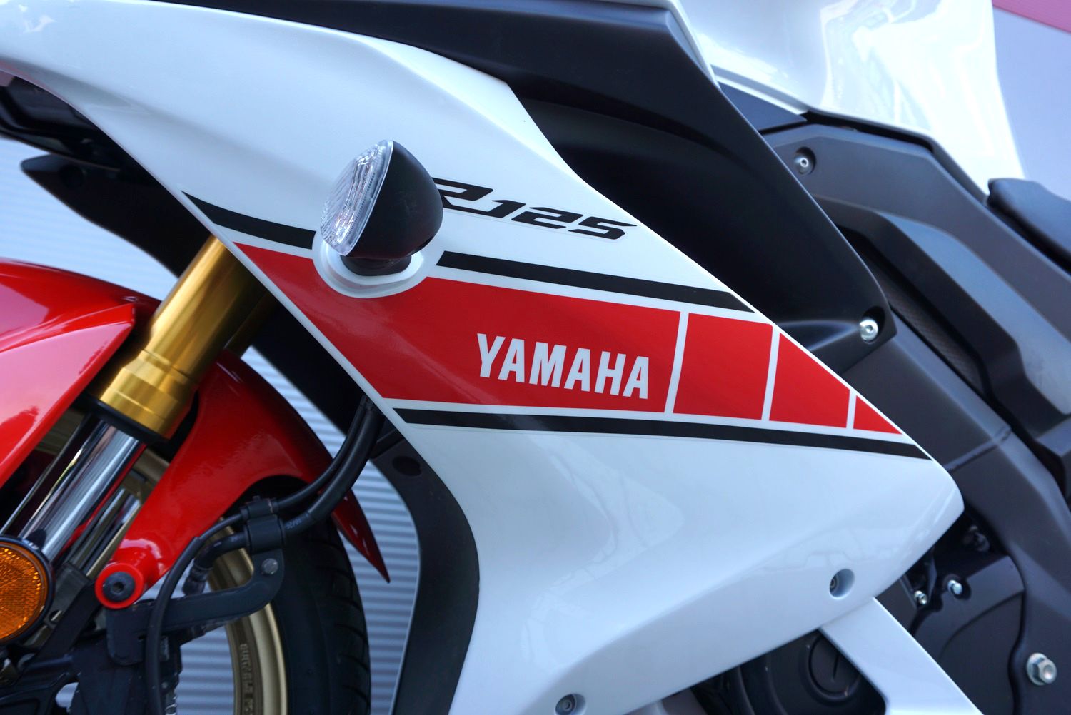 Yamaha YZF R125 WGP
