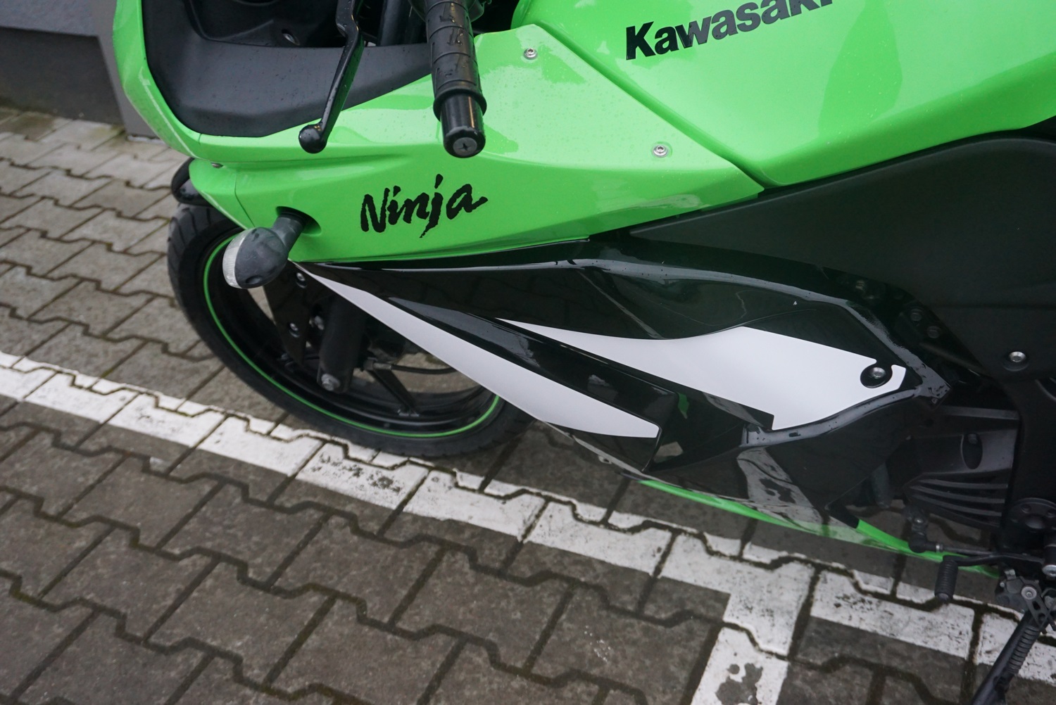 Kawasaki Ninja 250 R Special